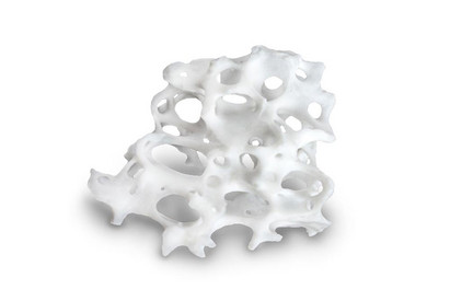 BIS_naturesQues_MaxOss_P_Particle