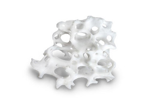 BIS_naturesQues_MaxOss_P_Particle