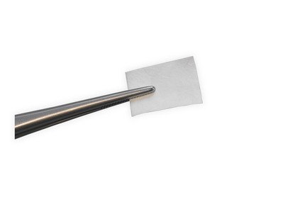 BIS_naturesQues_ColTect_P_pur_forceps_01