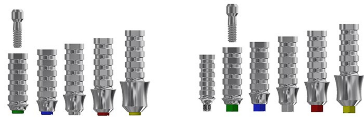 img-400_prov-abutments-02