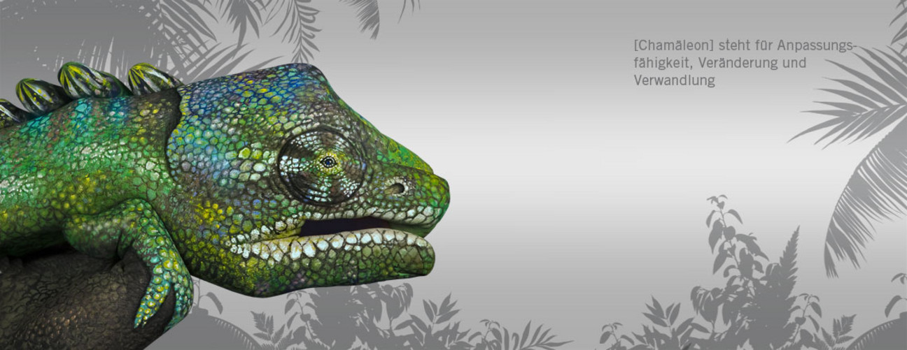 Q_Chameleon_1140x440