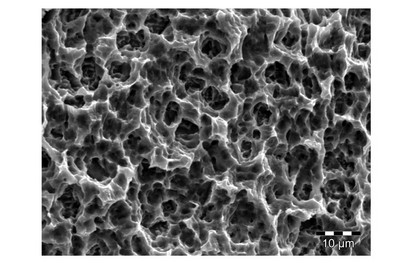 BEGO Semados® TiPurePlus surface