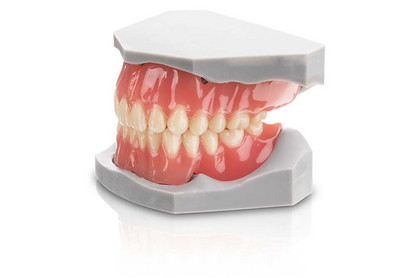 MED-DD_std_bild_1K_Totalprothese-02