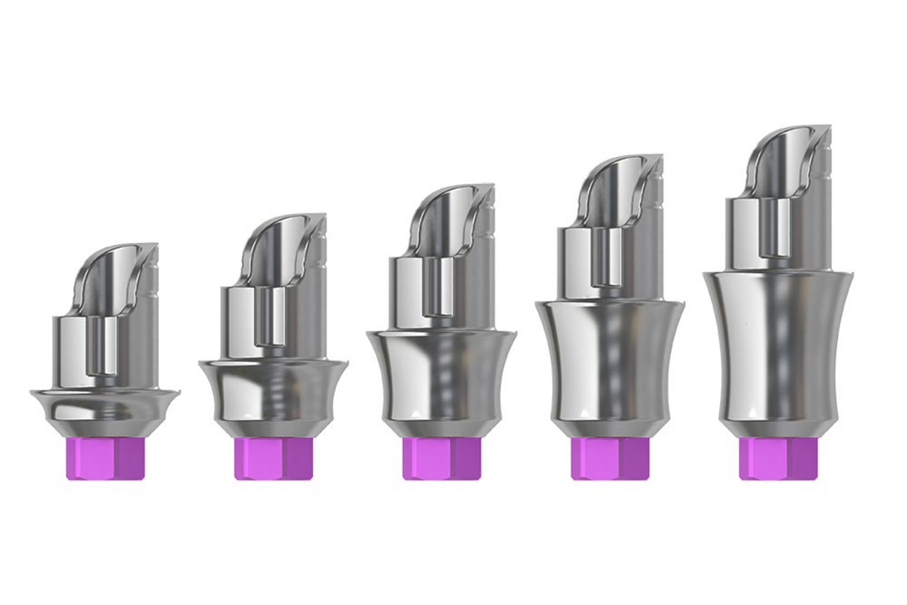 Esthetic Line CAD/CAM GH1-5 in D4,5