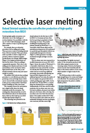 Selective laser melting | PD Dr. Roland Strietzel